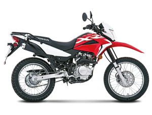 YMY XR 150 2022